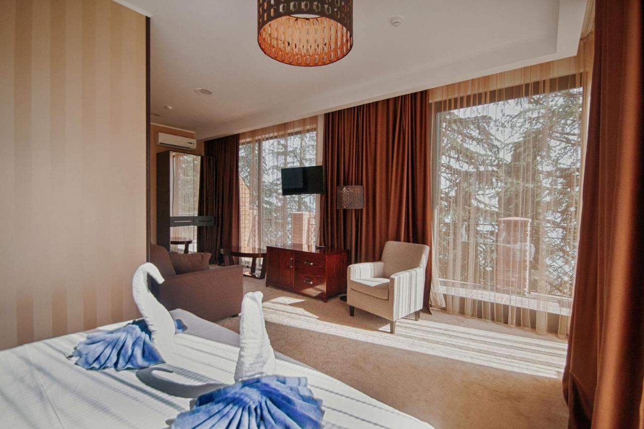 Afon Resort Hotel New Athos Ruang foto